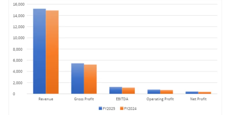 Financial Summary Table